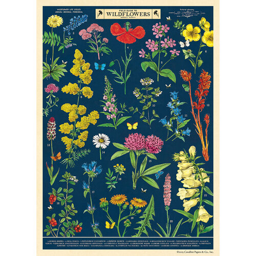 Cavallini Paper Poster «Filed Guide to Wildflowers»