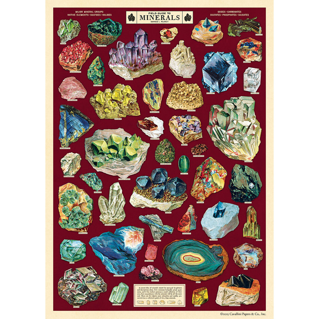 Cavallini Paper Poster «Filed Guide to Minerals»