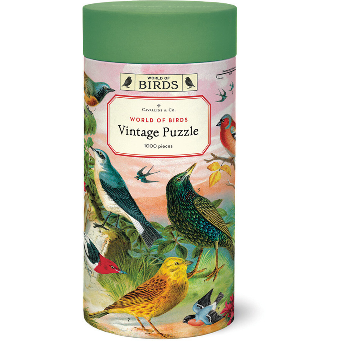 Cavallini Puzzle «World of Birds»