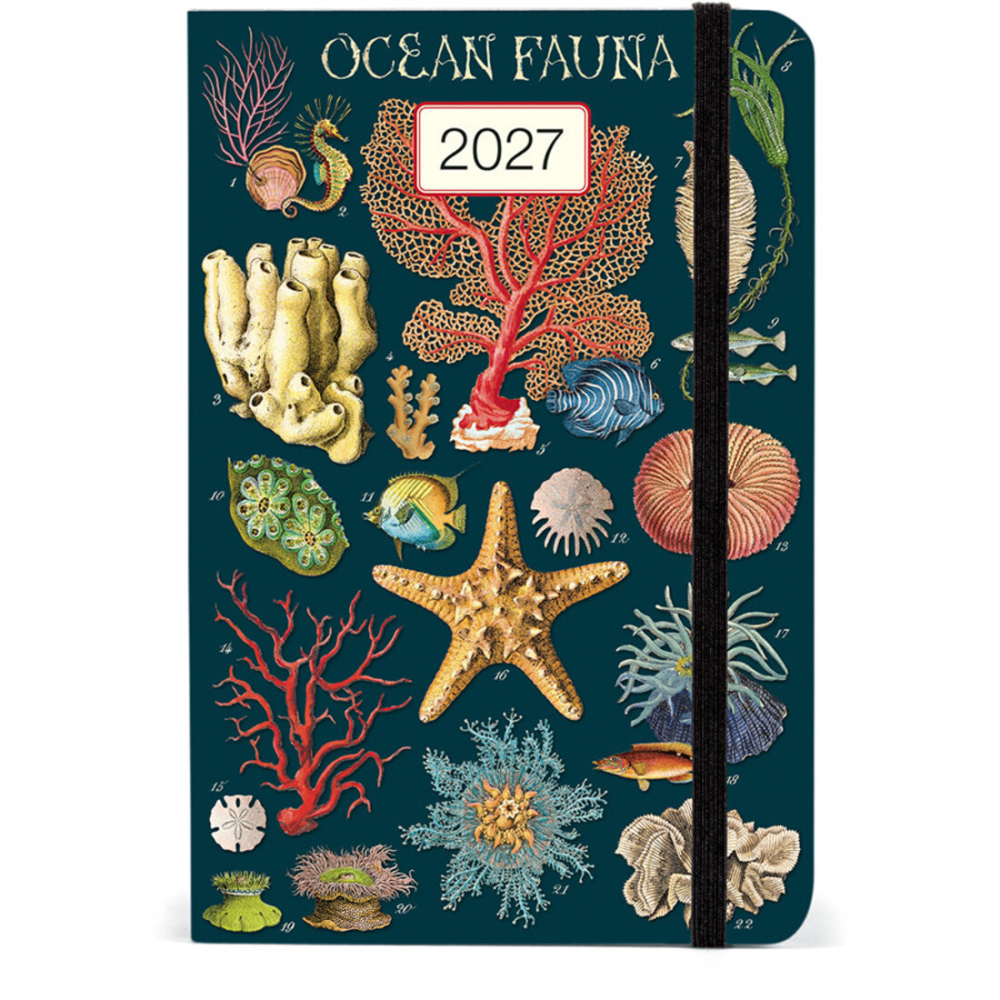 Cavallini Agenda 2027 «Ocean Fauna»