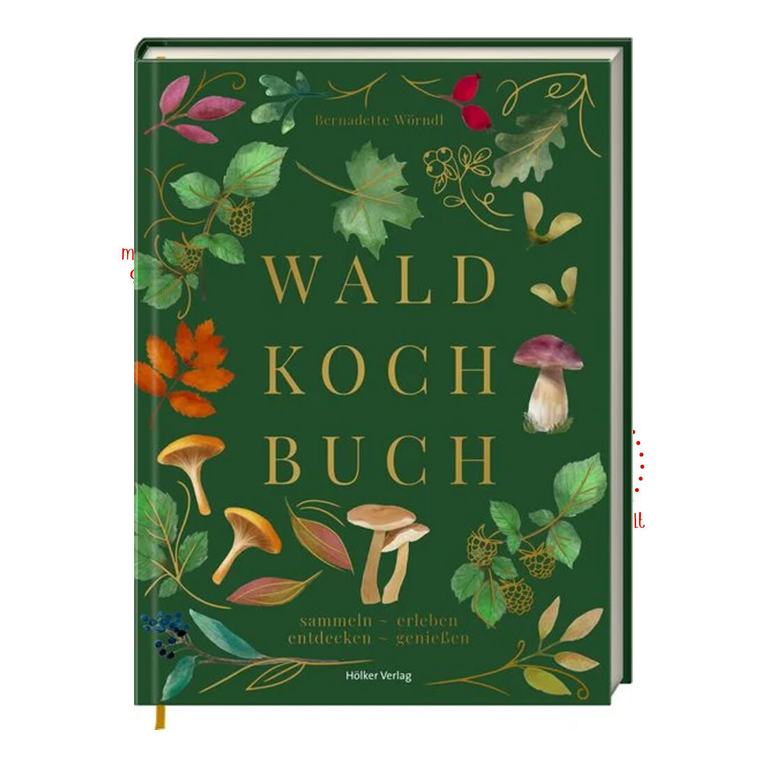 Hoelker Das Wald Kochbuch
