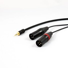 Mini-jack - 2x XLR male