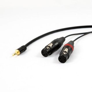 Mini-jack - 2x XLR female