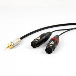 Tasker mini-jack - 2x XLR female, verguld