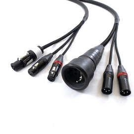 Combikabel 2x XLR female + Powercon wit -> 2x XLR male + Schuko female