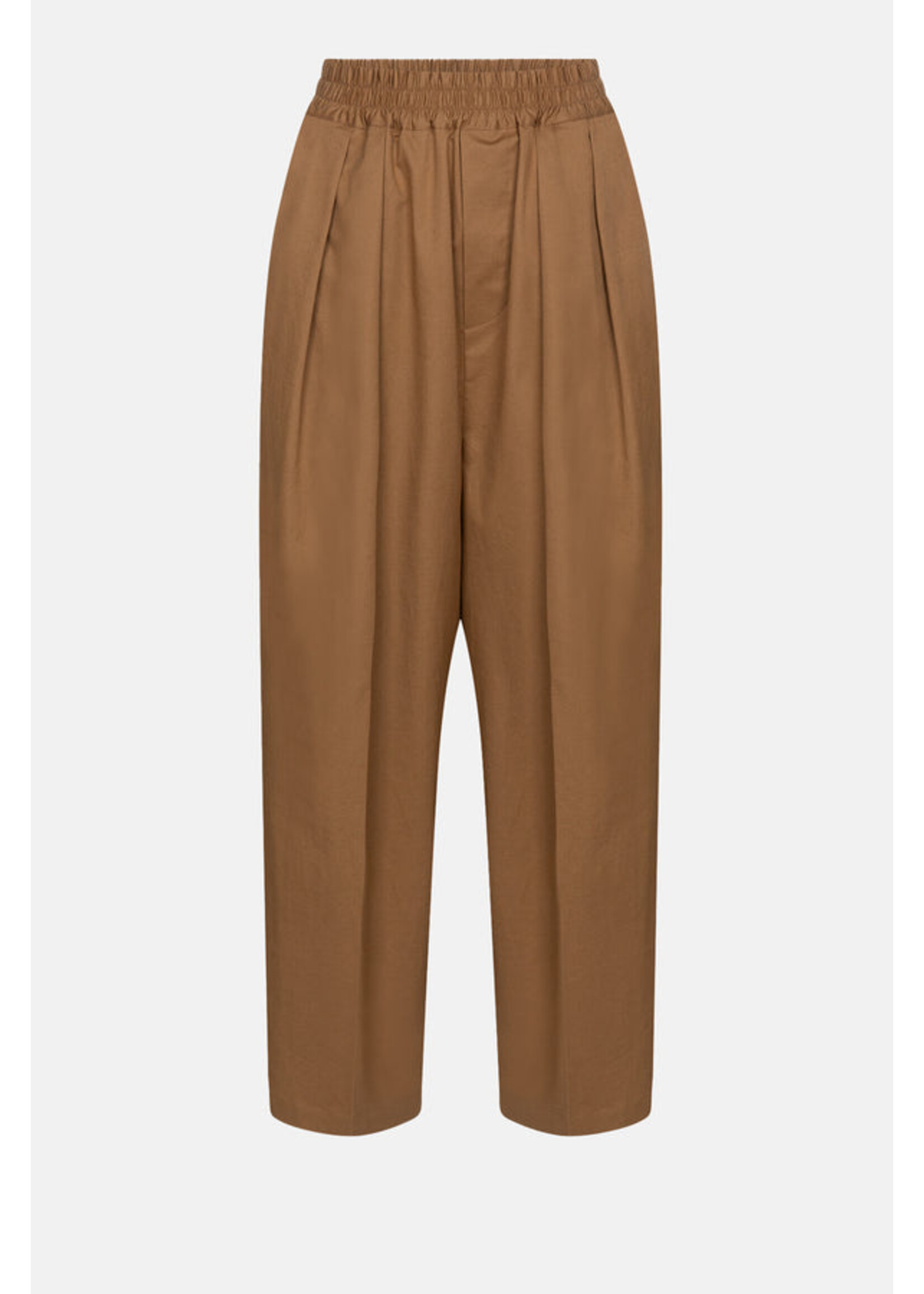 PLEATED PANTS