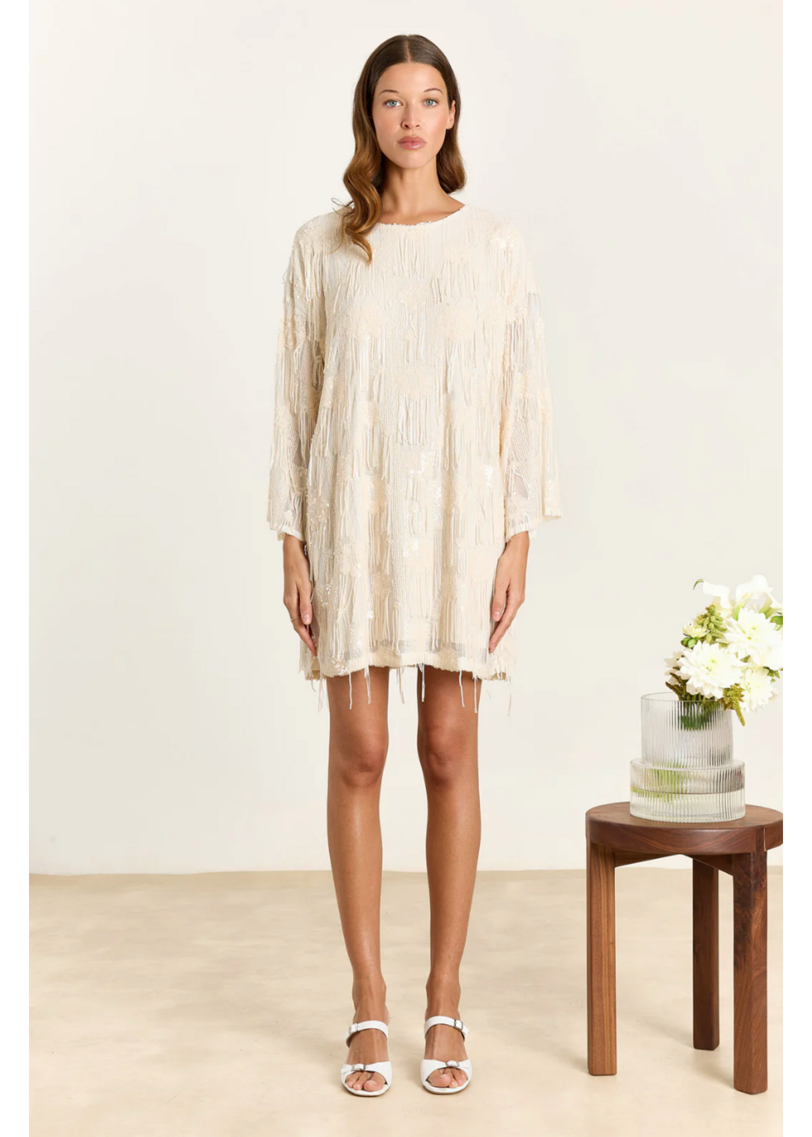 SEQUIN FRINGE DRESS