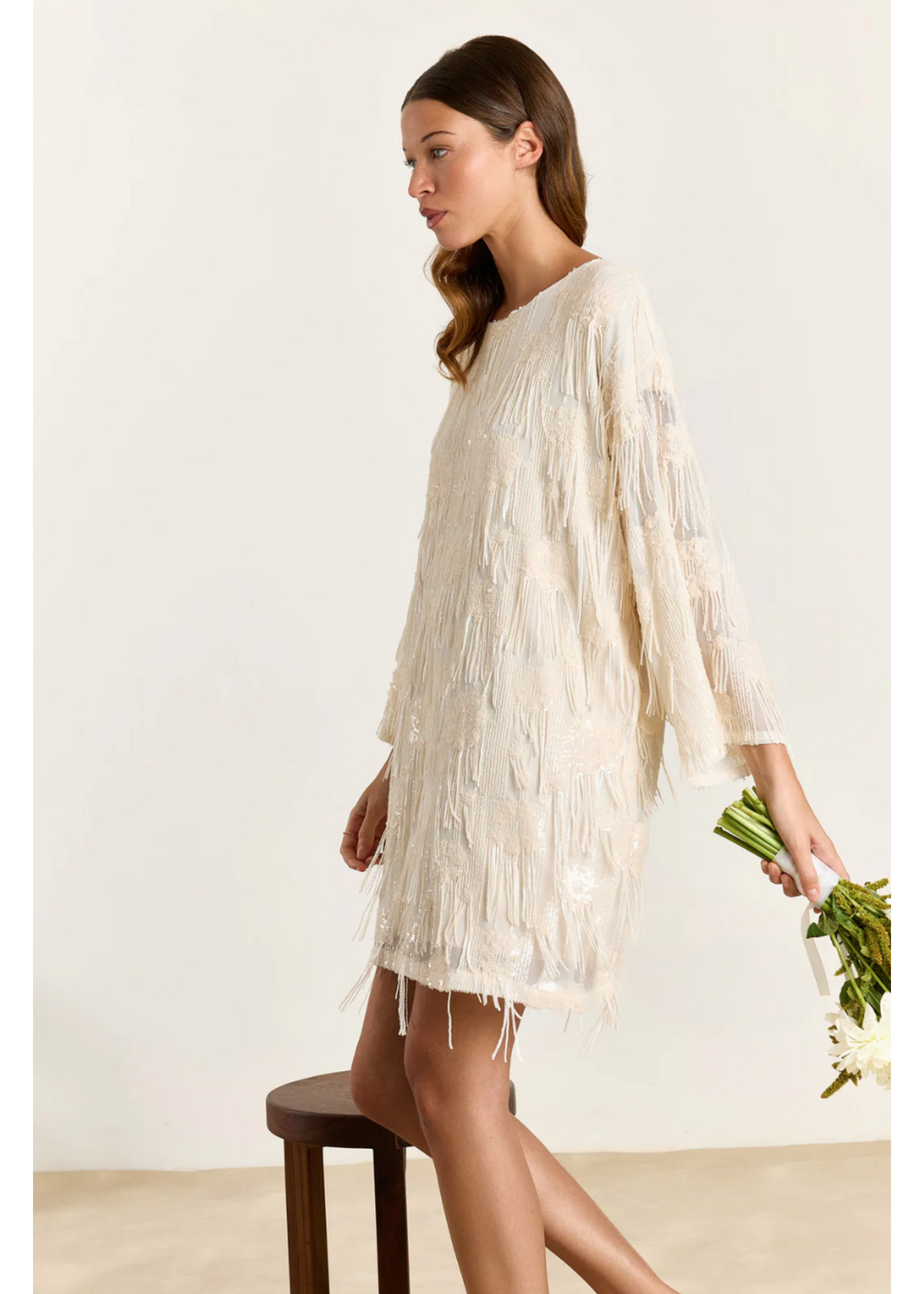 SEQUIN FRINGE DRESS