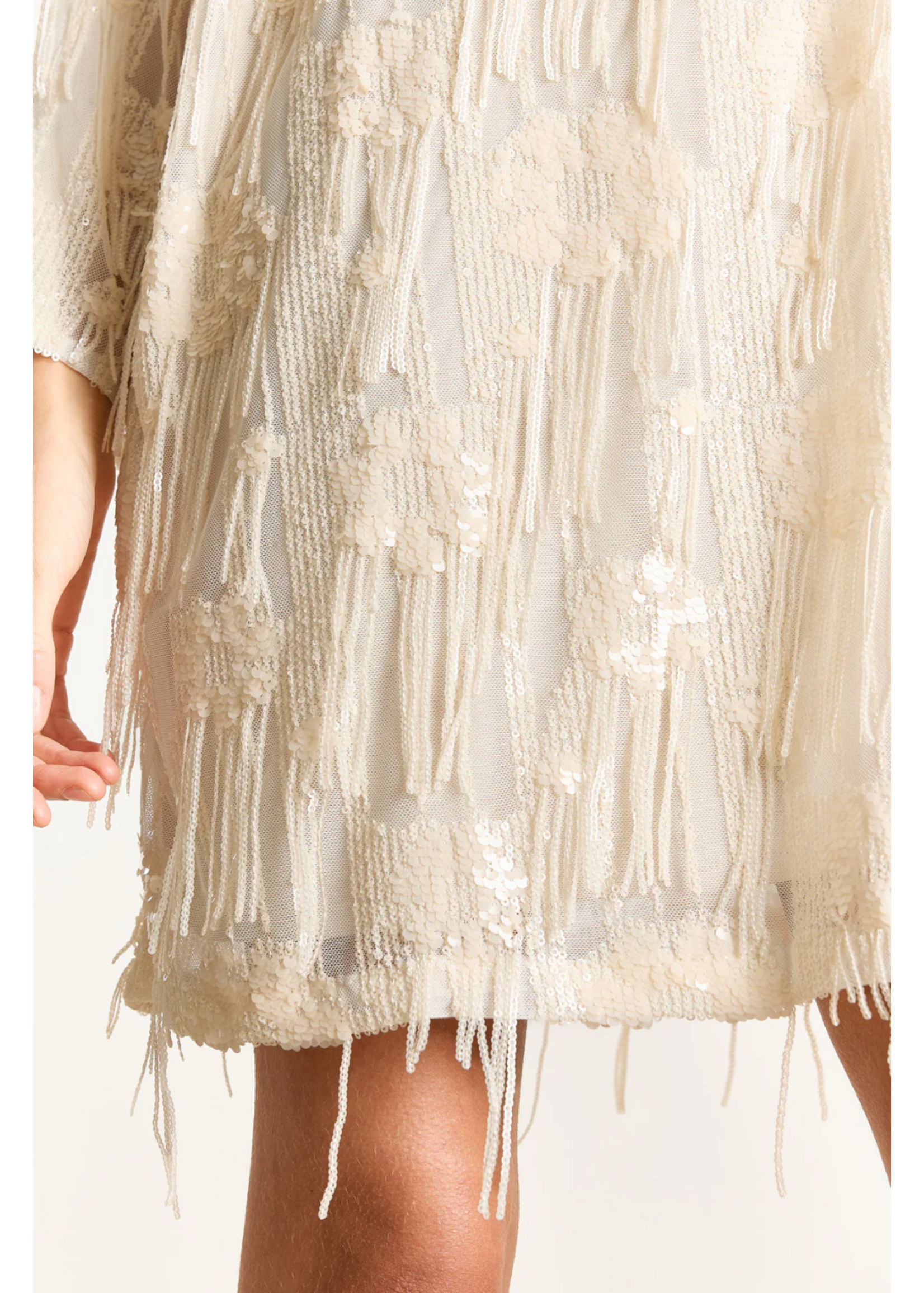 SEQUIN FRINGE DRESS