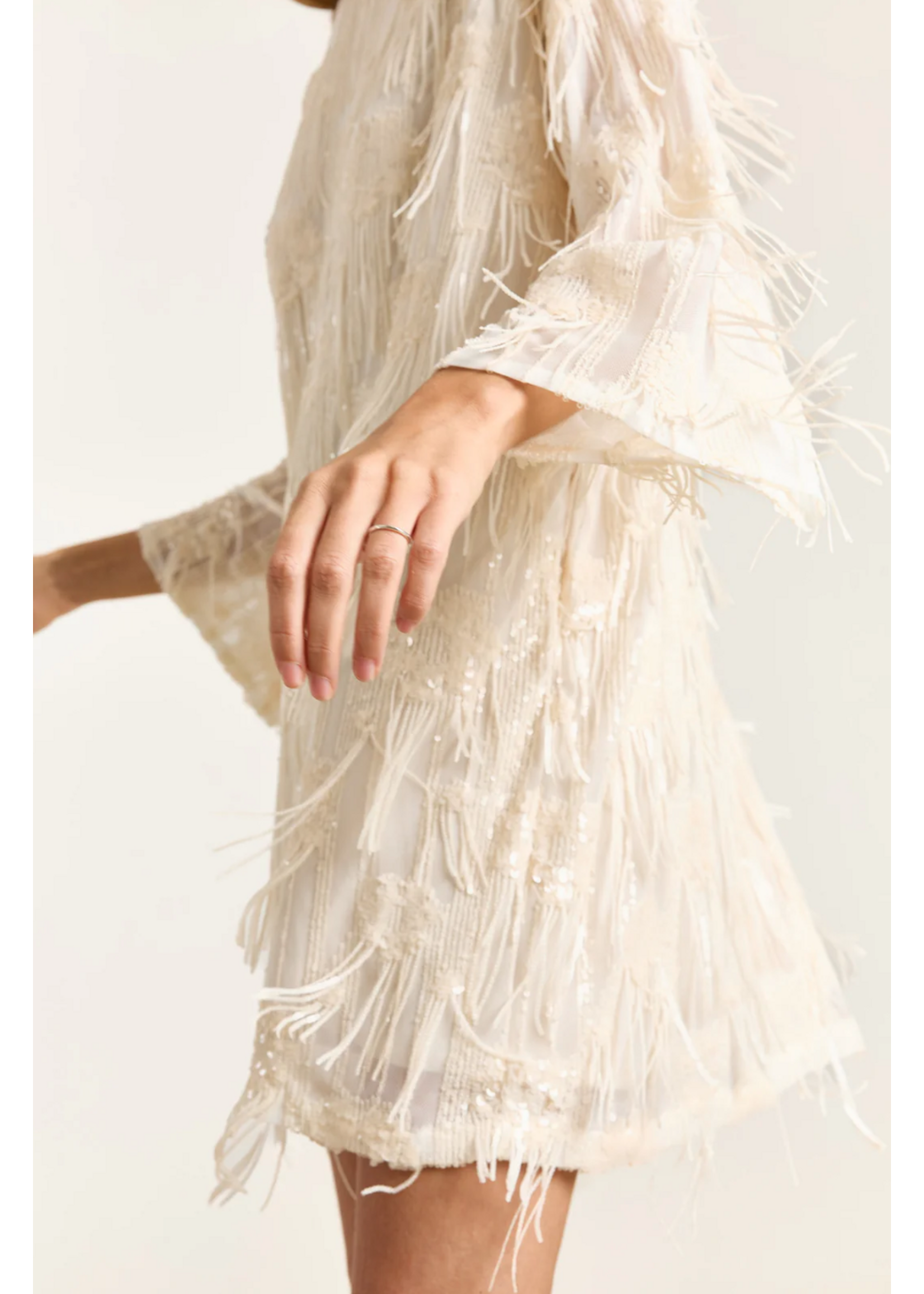SEQUIN FRINGE DRESS