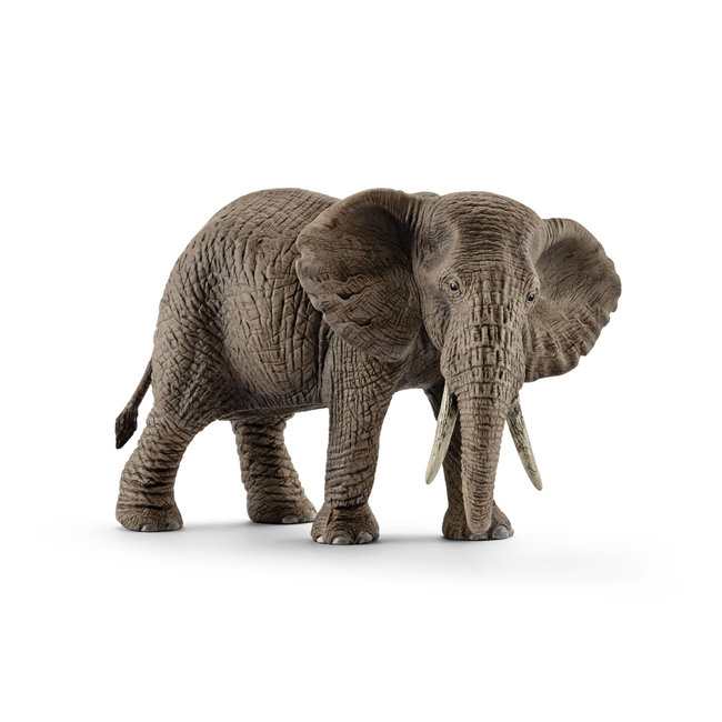Schleich Wild Life - Afrikaanse Olifant Vrouwtje