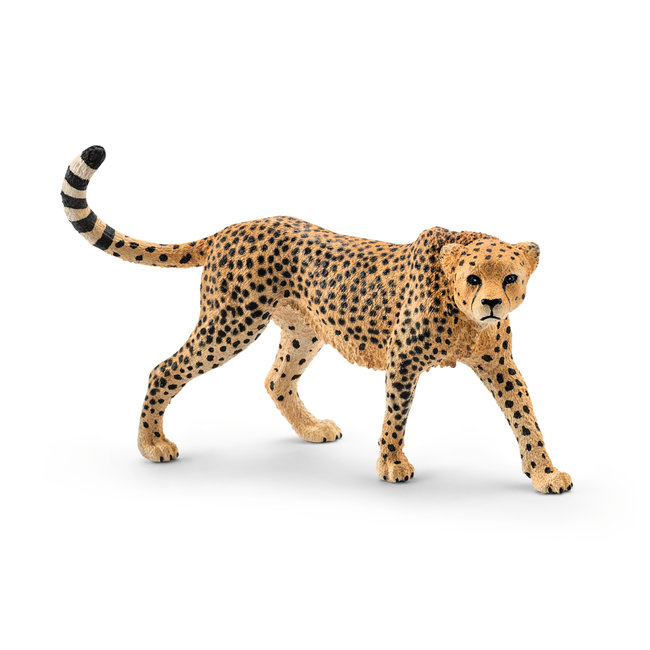 Schleich Wild Life - Luipaard Wijfje