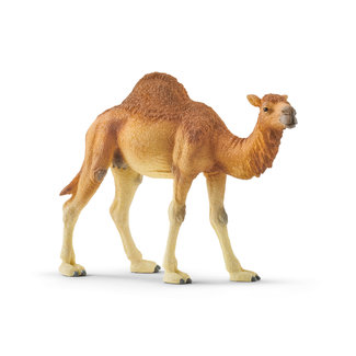 Schleich Wild Life - Dromedaris