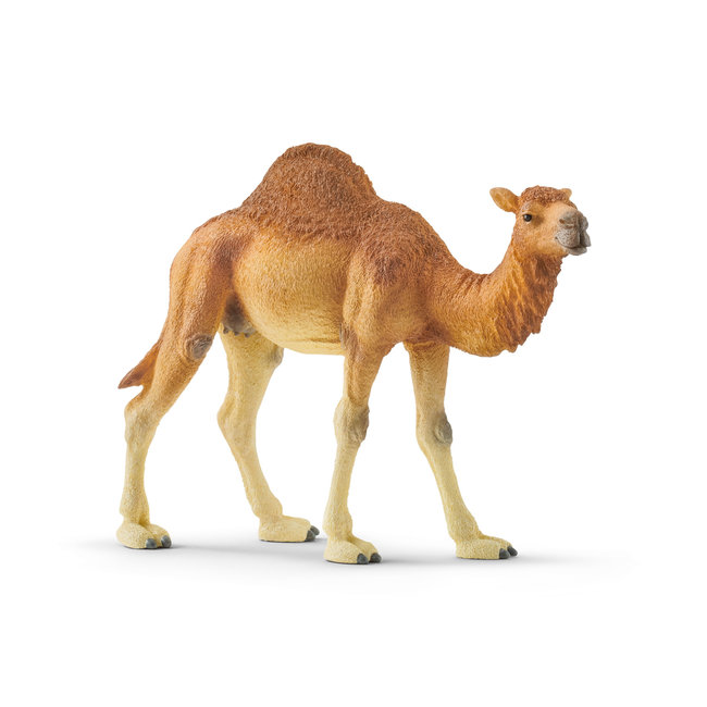 Schleich Wild Life - Dromedaris