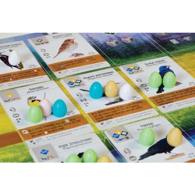 999 Games Spellen, Bordspellen - Wingspan