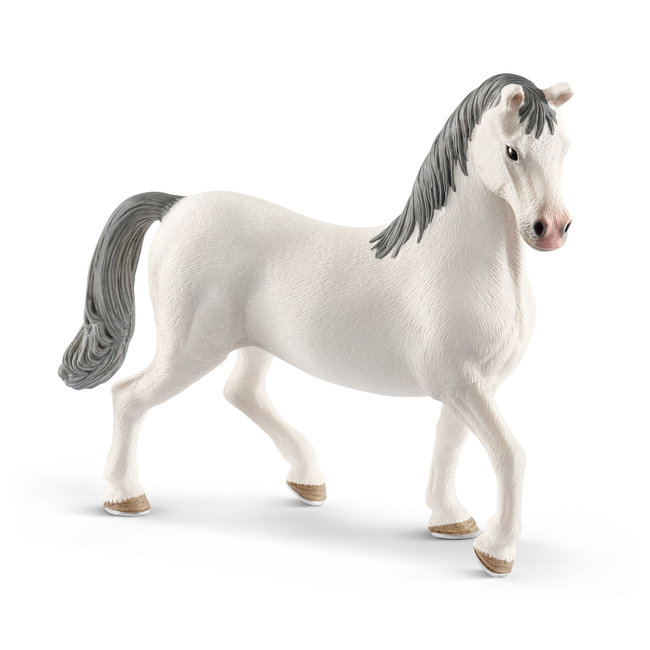 Schleich Lipizzaner hengst