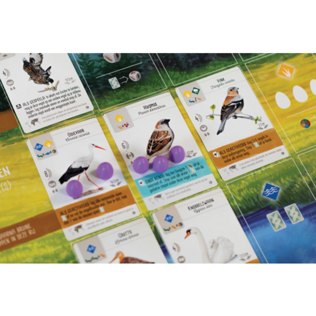 999 Games Spellen, Bordspellen - Wingspan uitbreiding: Europa