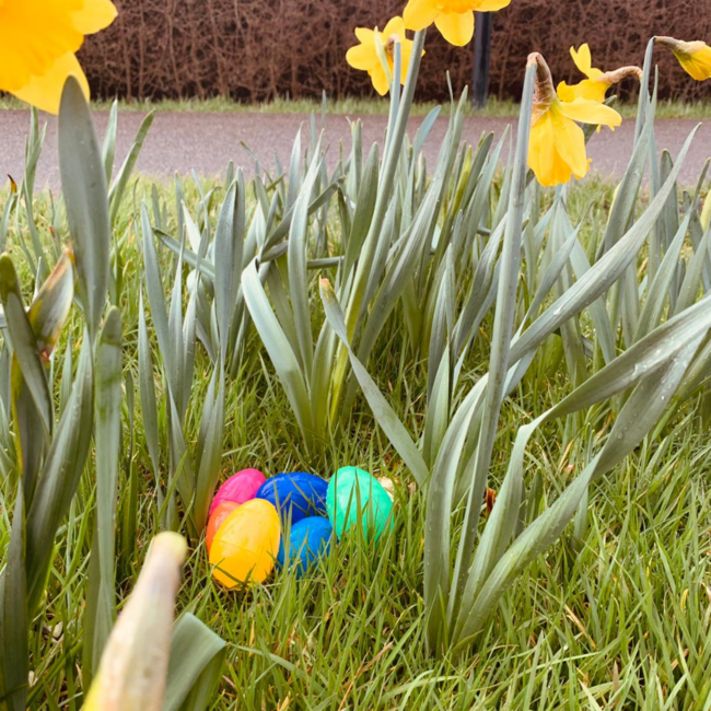 Gevulde paaseieren, 5st.