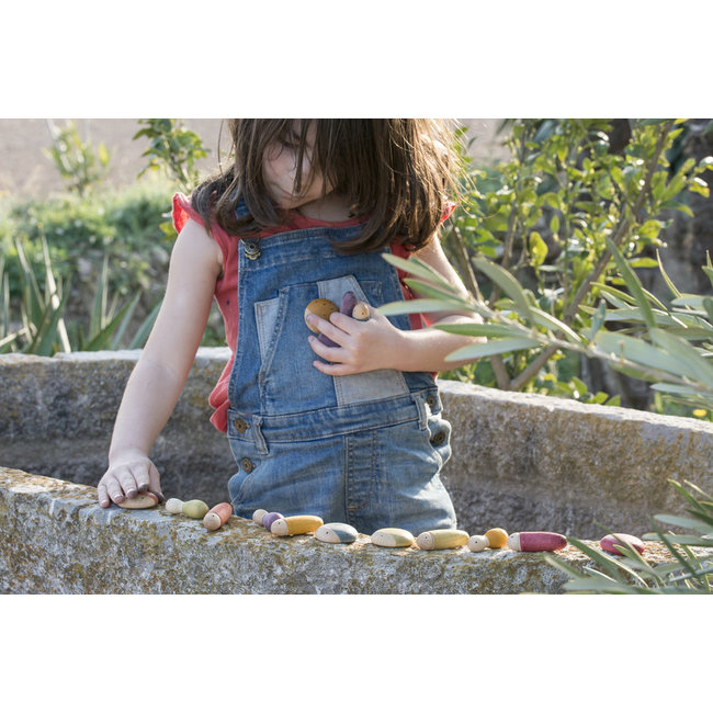 Grapat Houten insecten 6 kleuren, 18st. (insects)