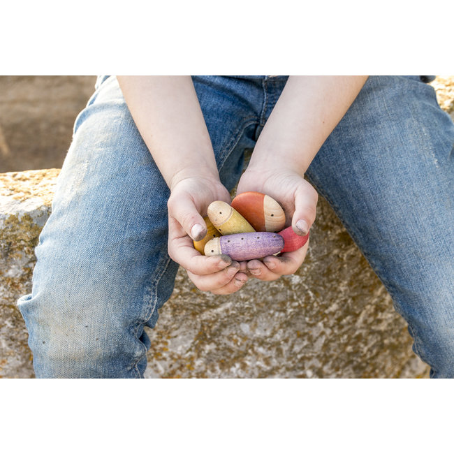 Grapat Houten insecten 6 kleuren, 18st. (insects)