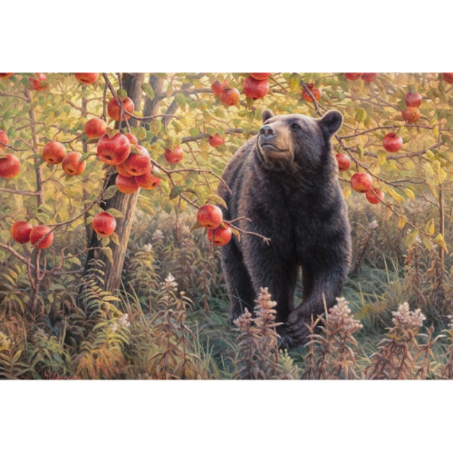 Cobble Hill Puzzels, Legpuzzels - CH Den Dreams, 500 stukjes