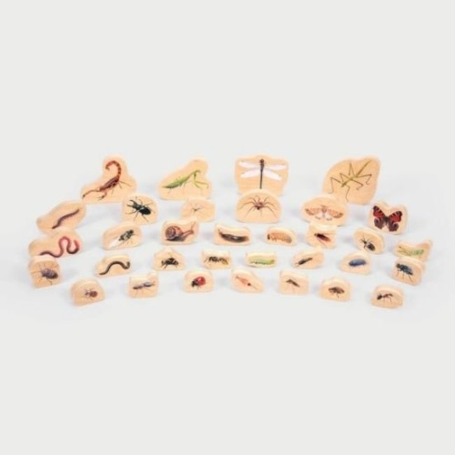Tickit Houten dieren blokken - insecten, set van 30 stuks (wooden minibeats blocks)