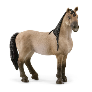 Schleich Horse Club - criollo definitivo merrie