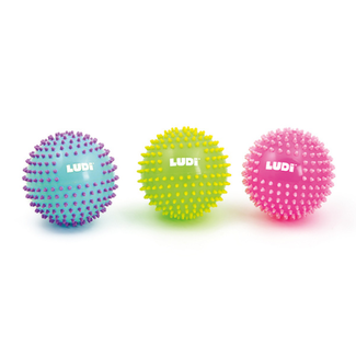 LUDI-DISPLAY 18STUKS / SENSORISCHE BALLEN, ? 15 cm