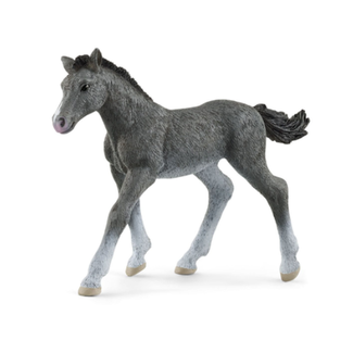 Schleich Schleich Horse Club - Trakehner Veulen