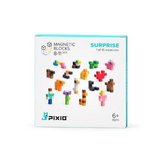 Pixio Magnetische bouwblokjes - Surprise, assorti