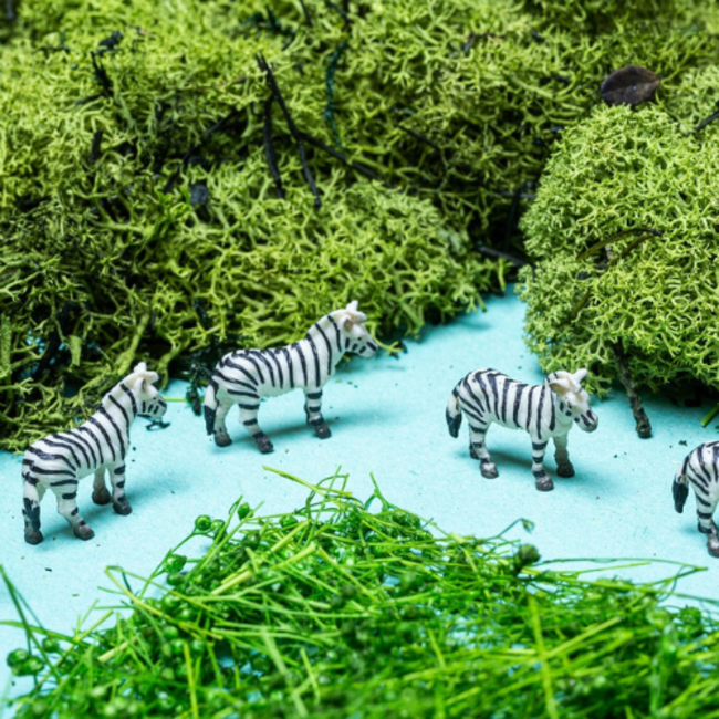 Petit Boum Sensorische fles - Spy Bottle, jungle