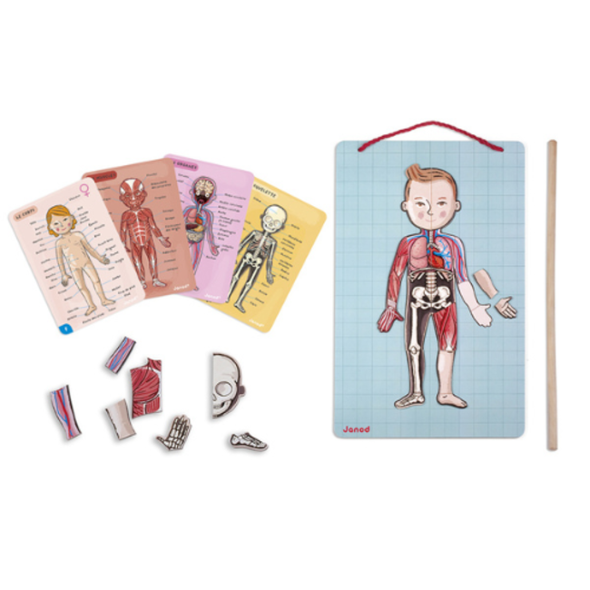 Janod Educatief speelgoed - Het menselijk lichaam,+7