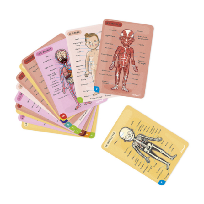 Janod Educatief speelgoed - Het menselijk lichaam,+7