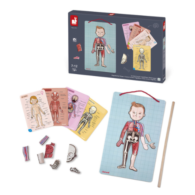 Janod Educatief speelgoed - Het menselijk lichaam,+7