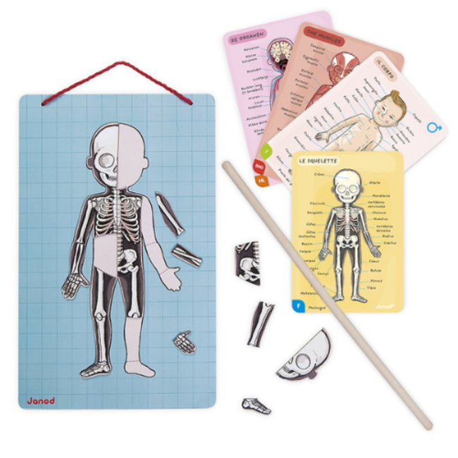 Janod Educatief speelgoed - Het menselijk lichaam,+7