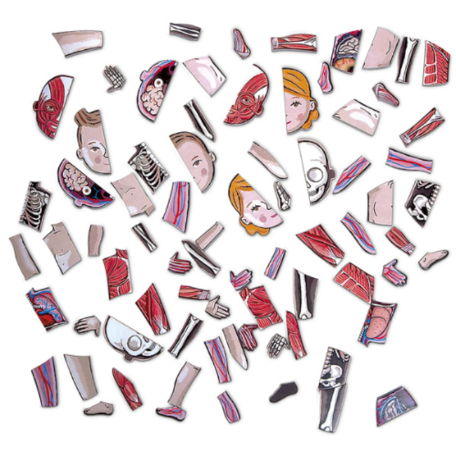 Janod Educatief speelgoed - Het menselijk lichaam,+7