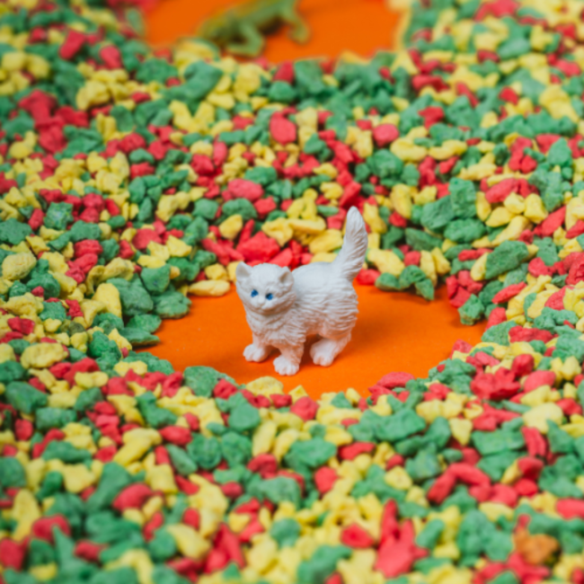 Petit Boum Sensorische fles - Spy Bottle, huisdieren