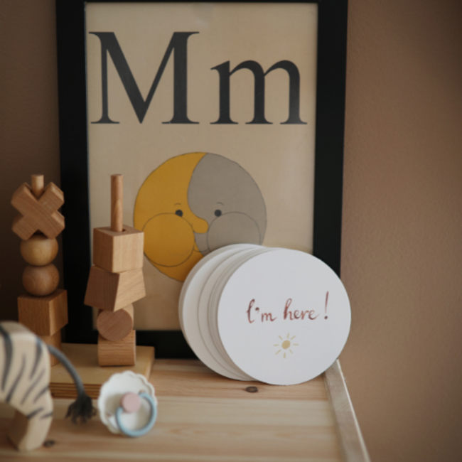 Mushie Mijlpalen kaarten (Milestone cards)