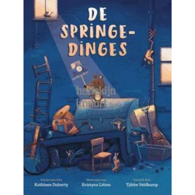 Boeken, Prentenboeken - De Springedinges, 4+