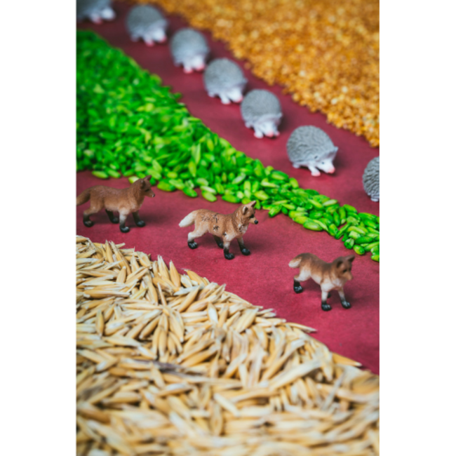 Petit Boum Sensorische fles - Spy Bottle, bos