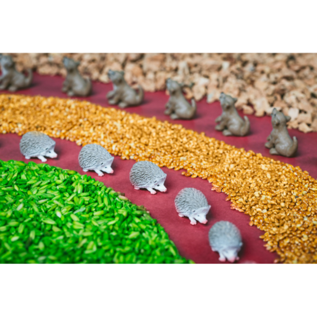 Petit Boum Sensorische fles - Spy Bottle, bos