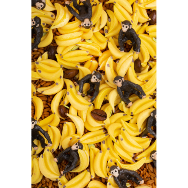 Petit Boum Sensorische fles - Sound Bottle, aap