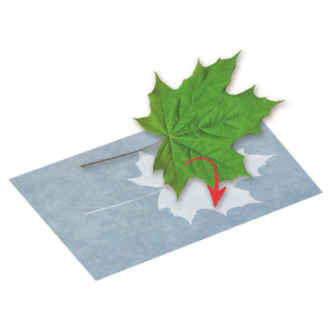 Knutselen, Accessoires - PhänoMINT Zonnepapier, A5, 10vel