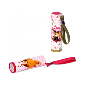 Small torch (with 9 LED)