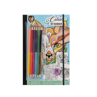 Knutselen, Knutselpakket - Kleuren op nummer kleurboek + potloden, 5+