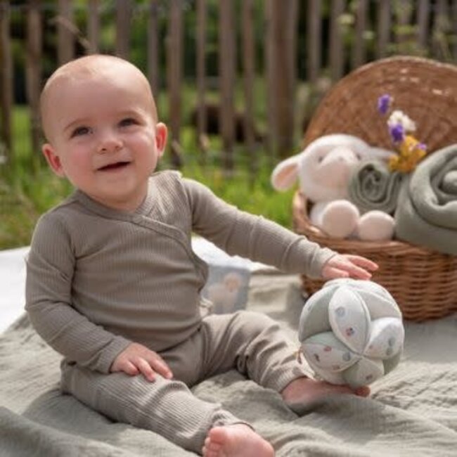 Little Dutch Grijpbal Little Farm