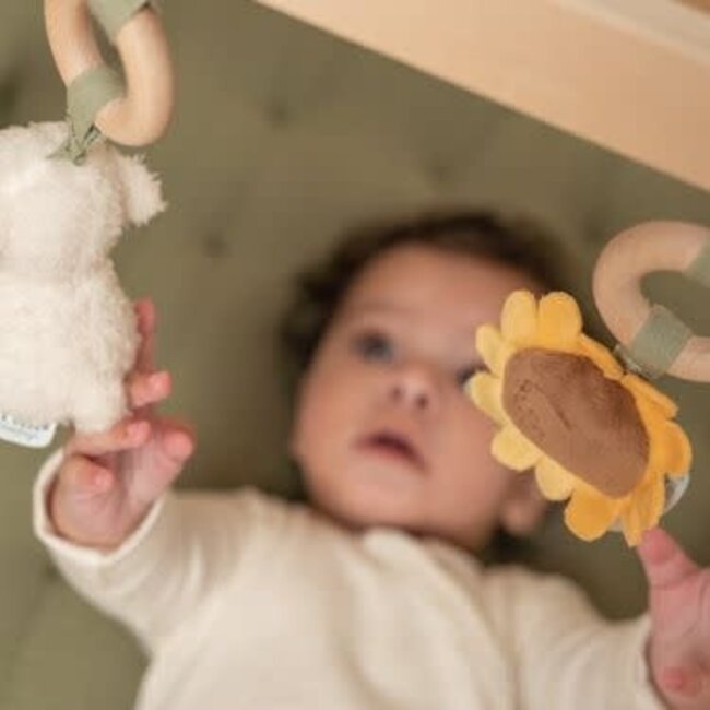 Little Dutch Babygym Little Farm