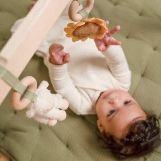 Little Dutch Babygym Little Farm