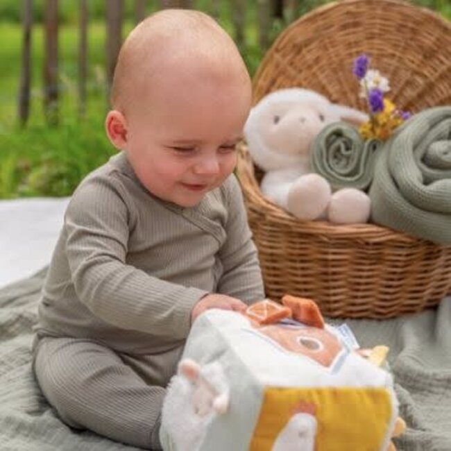 Little Dutch Activiteitenkubus Little Farm