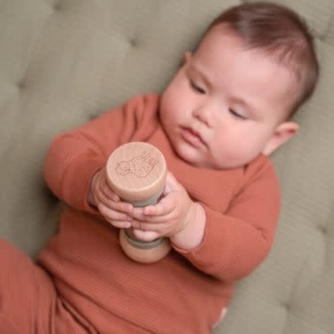 Little Dutch Regenrammelaar Little Farm FSC